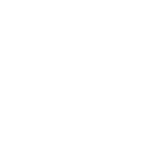 kurse-weiss_kleiner